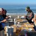 San Clemente considers banning unpermitted meals gatherings in public locations – Orange County Register