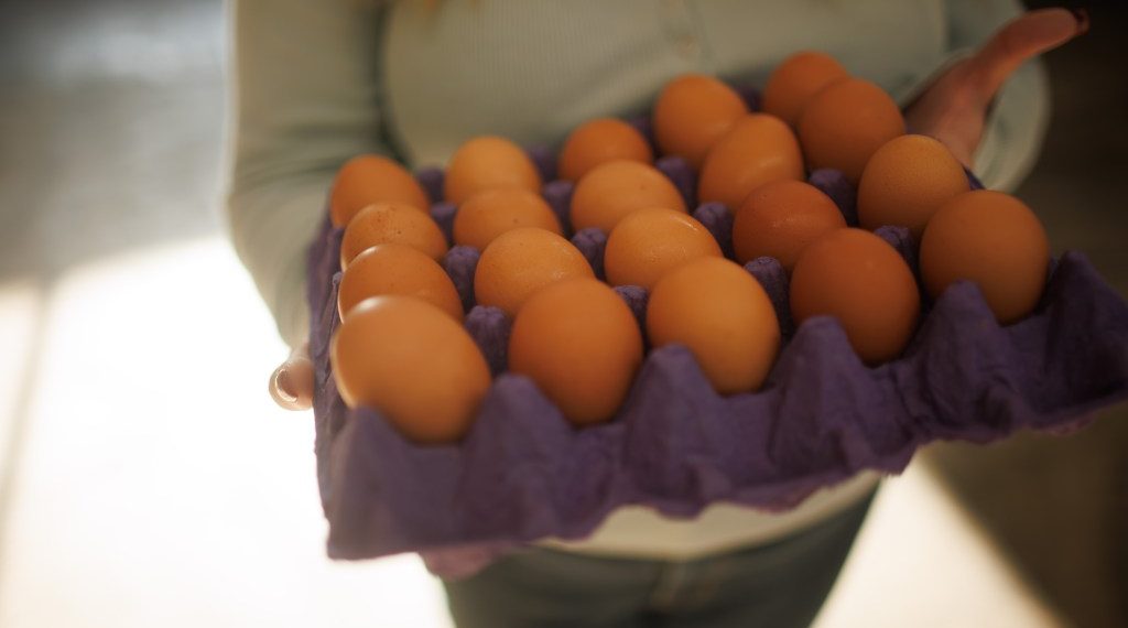 Involved about meals security amid the hen flu outbreak? Here is how eggs are examined