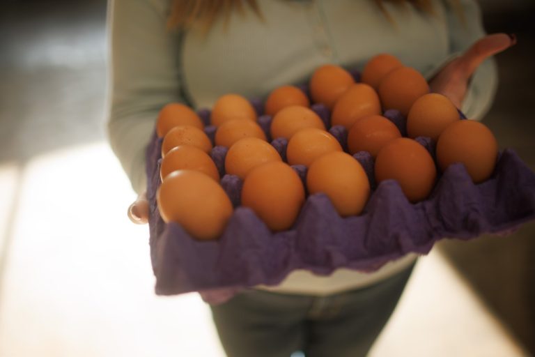 Involved about meals security amid the hen flu outbreak? Here is how eggs are examined