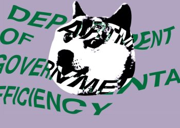 Doge attempt to entry the IRS information on thousands and thousands of taxpayers