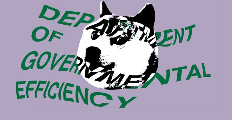 Doge attempt to entry the IRS information on thousands and thousands of taxpayers