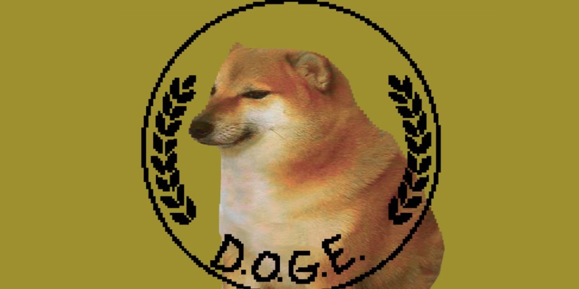 Amy Gleason has formally named as Doge Administrator
