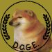 Amy Gleason has formally named as Doge Administrator