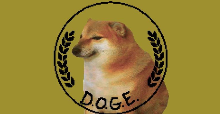 Amy Gleason has formally named as Doge Administrator
