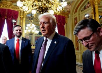 Courts and congress wrestle to maintain up with Trump whereas he’s redesigning the American authorities