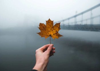 Vacation spot Canada unveils its complete Tourism Wealth and Wellbeing Index