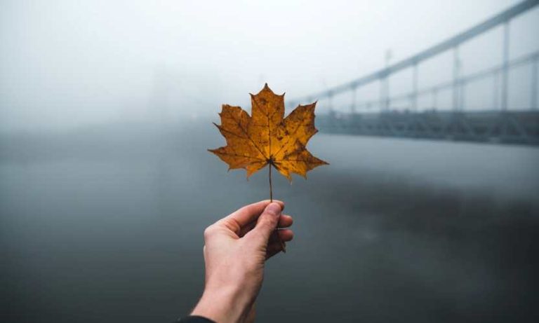 Vacation spot Canada unveils its complete Tourism Wealth and Wellbeing Index