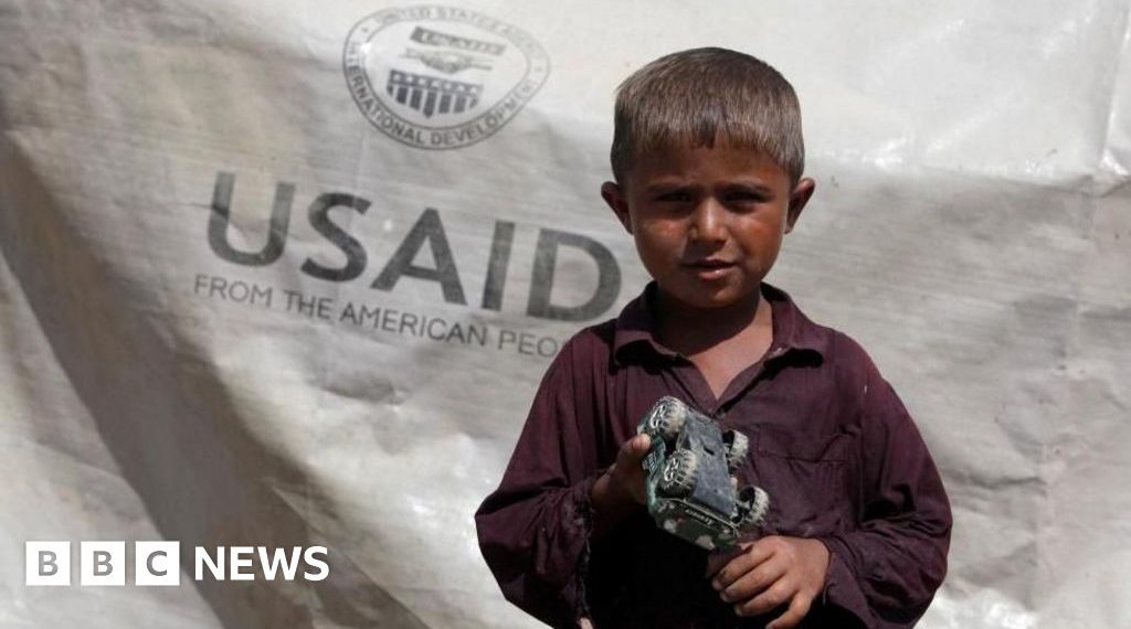 What’s USAID and why Donald Trump desires to complete it?