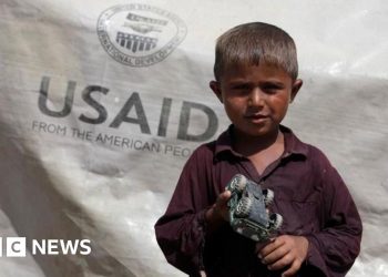 What’s USAID and why Donald Trump desires to complete it?