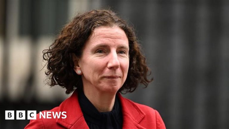 The Worldwide Improvement Minister Anneliese Dodds pronounces about auxiliary cuts