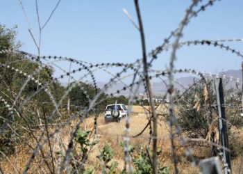 Is ionic? Propaganda, politics and World Cyprus part, know