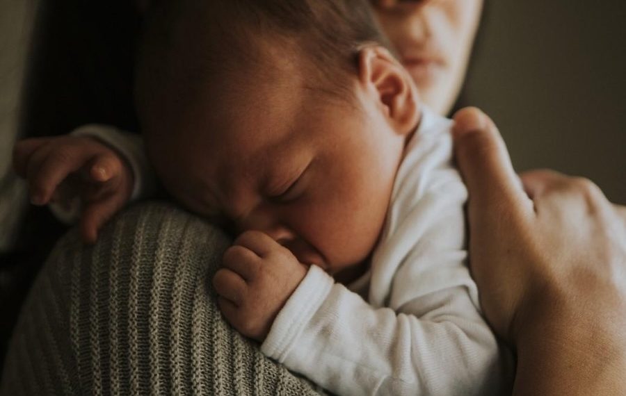 CIDRAP and international well being consultants establish analysis priorities for Zika virus preparedness and response