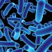 Early intestine microbiota linked to meals sensitivities in infants