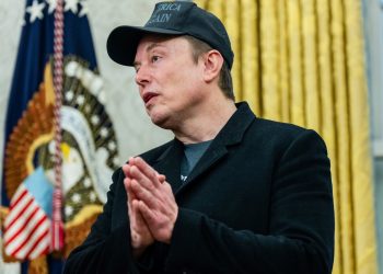 The Musk workforce needs to entry the inner tax service system with the taxpayer data