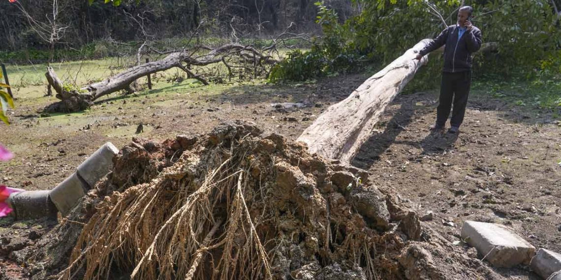 Seismology centre hyperlinks Delhi tremor to weak rock layers | Way of life Information