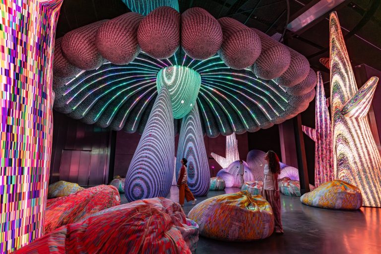 An immersive monumental set up of Eness requires pleasure and union – Colossal