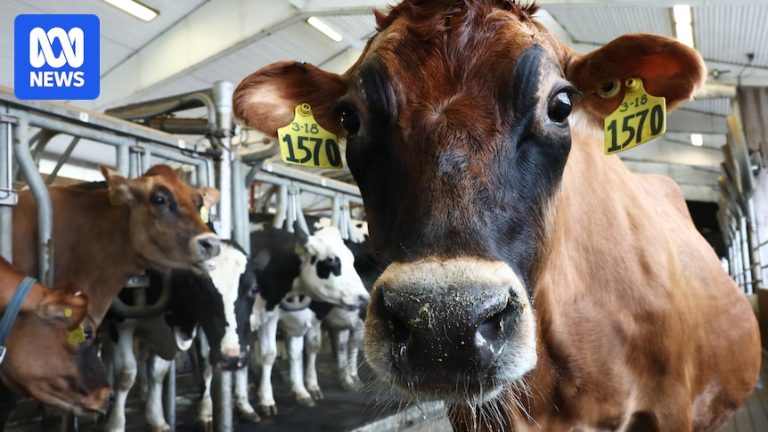US hen flu outbreak issues proceed as well being businesses face cuts and knowledge delays