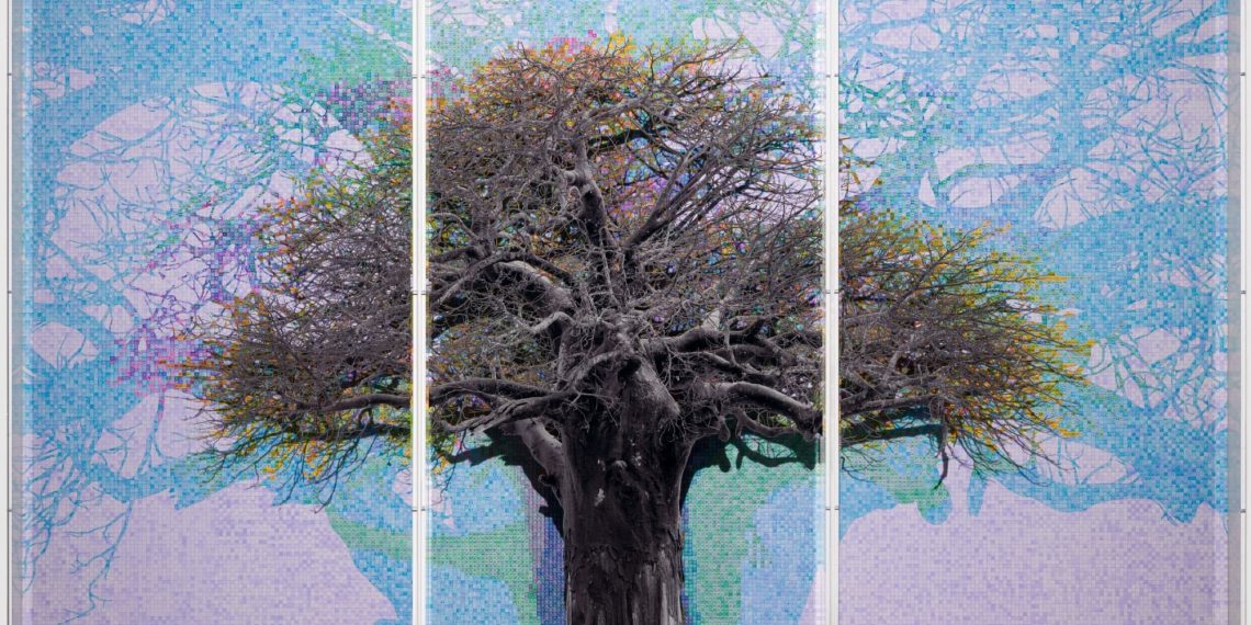 Charles Gaines mape the meanings of historic Baobab bushes in thorough – colossal diagrams