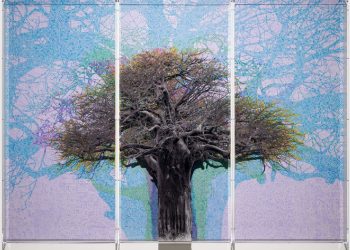 Charles Gaines mape the meanings of historic Baobab bushes in thorough – colossal diagrams