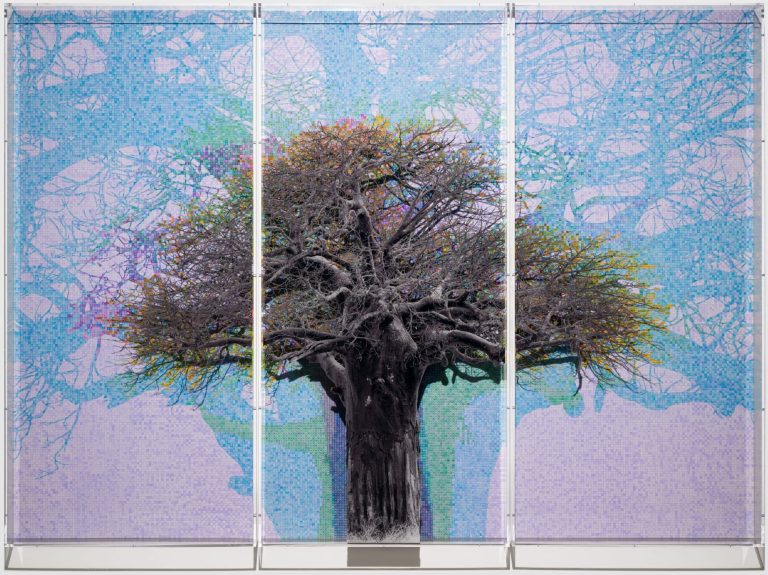 Charles Gaines mape the meanings of historic Baobab bushes in thorough – colossal diagrams