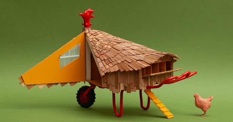 Shingles of timber wrap hen coop within the type of hen within the lake district of the UK