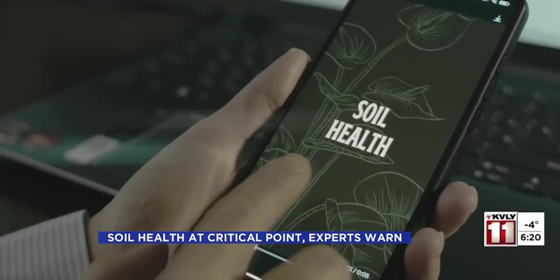 Soil well being at crucial level, consultants warn – KVLY
