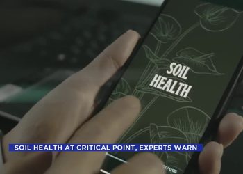 Soil well being at crucial level, consultants warn – KVLY
