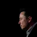 The stress is rising to carry Elon Musk under consideration the interference in world politics with X