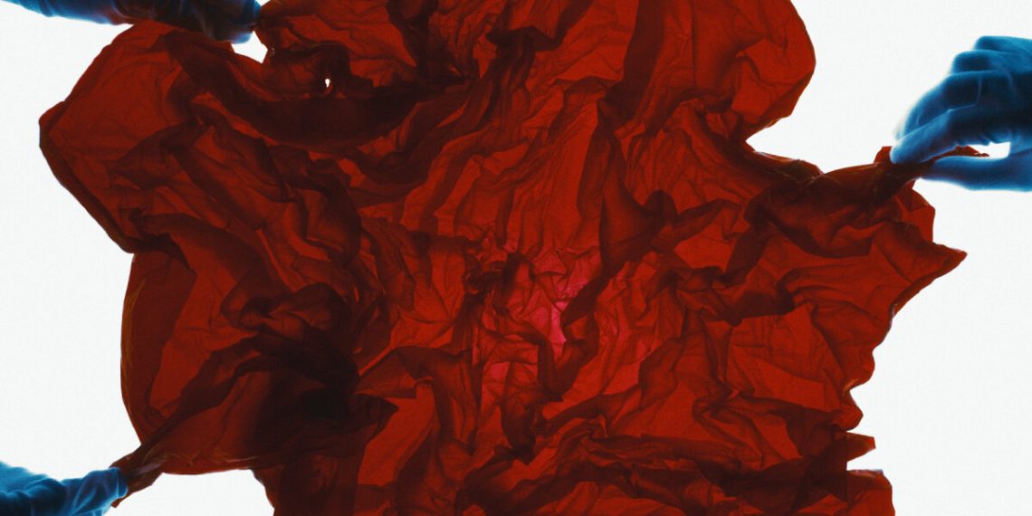 Inside “Lunform” Biomaterial and Gozen’s nanocellulose