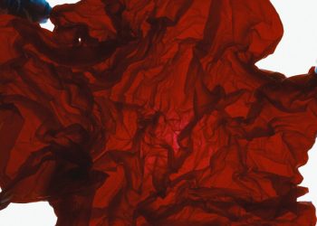 Inside “Lunform” Biomaterial and Gozen’s nanocellulose