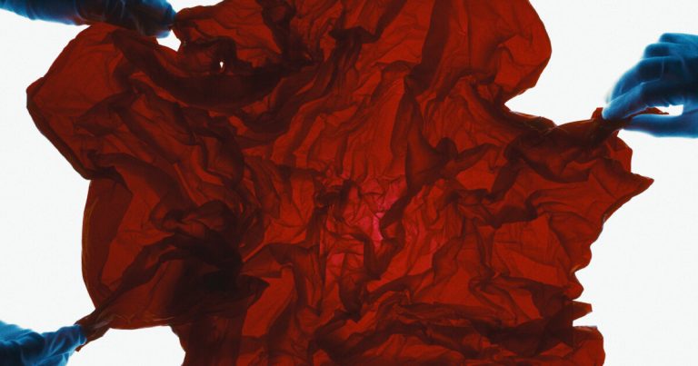 Inside “Lunform” Biomaterial and Gozen’s nanocellulose