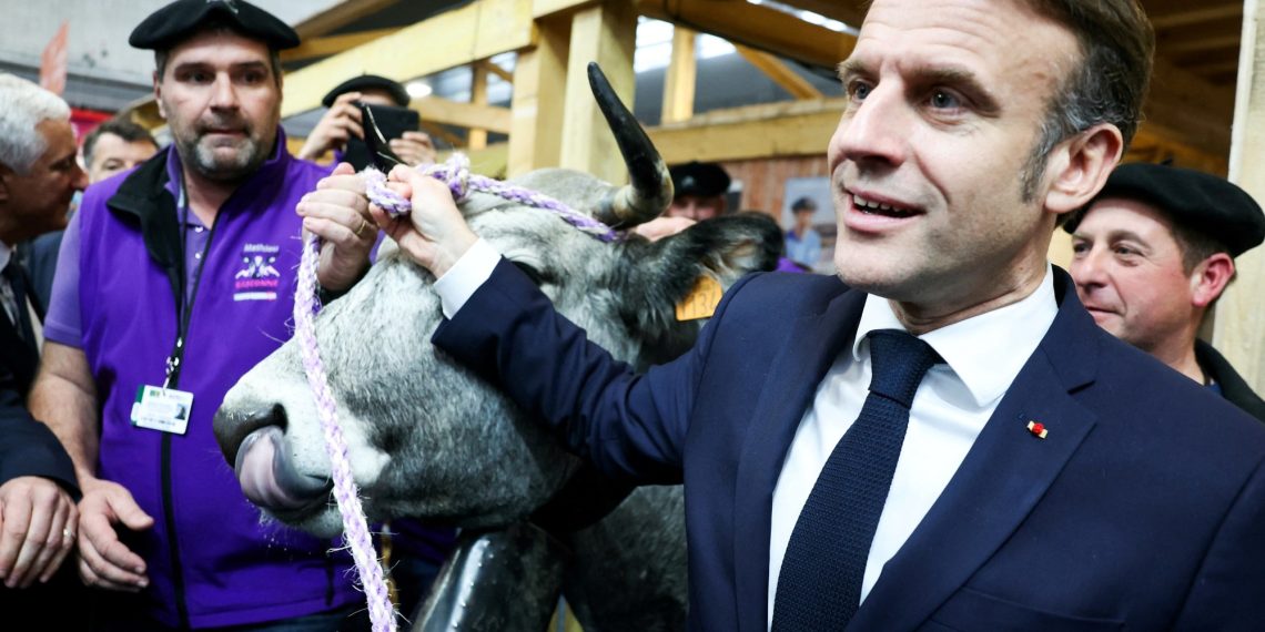 Macron ratified that France continues to dam the settlement between the EU and Mercur