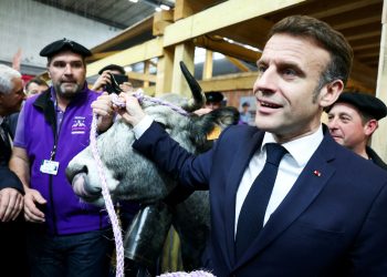 Macron ratified that France continues to dam the settlement between the EU and Mercur