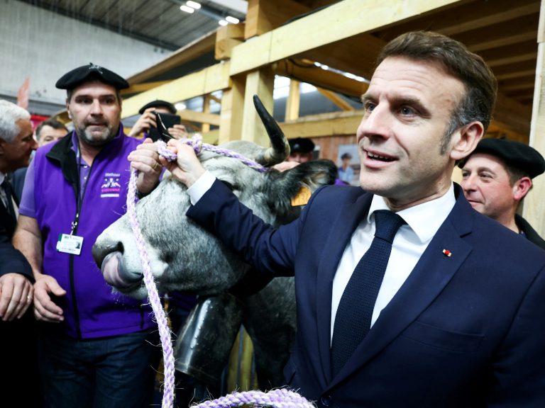 Macron ratified that France continues to dam the settlement between the EU and Mercur