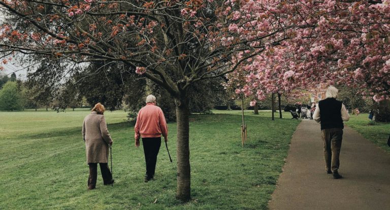 Analysis Finds Halt in Life Expectancy Development