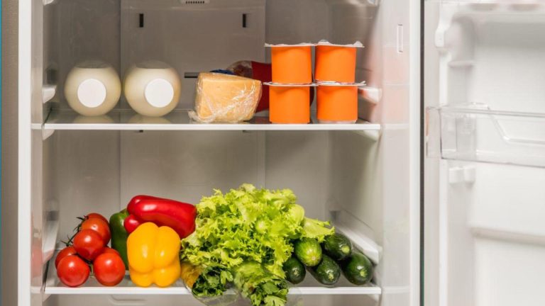 SNAP advantages obtainable to switch meals misplaced throughout current storms
