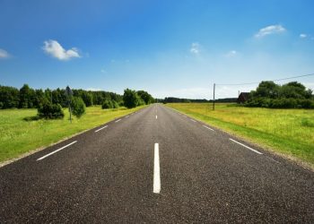 84% of Michiganders plan to journey this 12 months