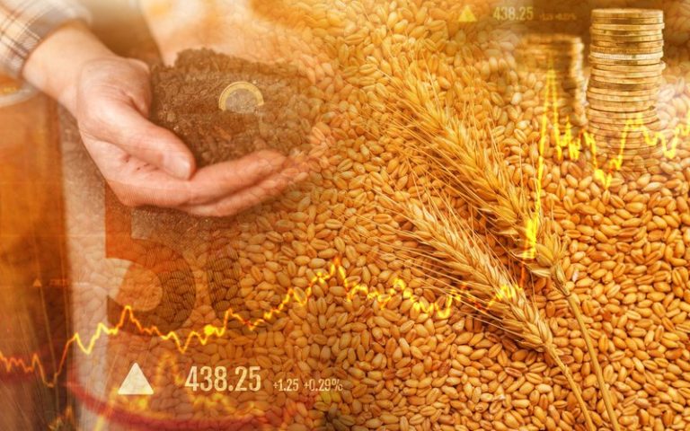 RaboResearch: US tariffs on EU exports to impression the meals and agriculture sector