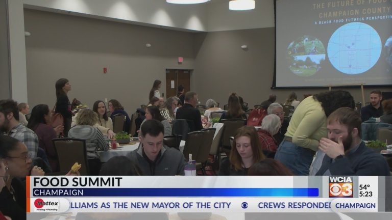 Feeding Champaign Co. Meals Summit goals to assist 26Ok people who find themselves meals insecure