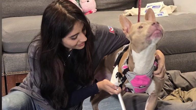 NY shelter canine will get new lease on life with teen’s 3D printed prosthetic leg