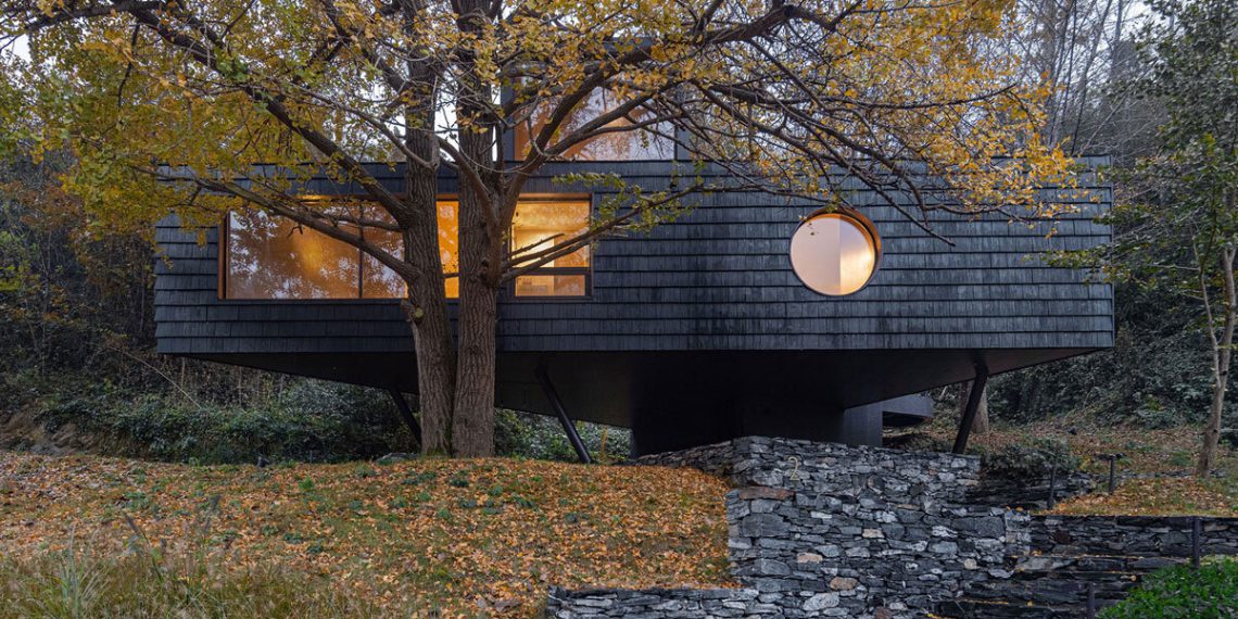 Geometric openings Pierce elevat TreeHouse by Moguang Studio