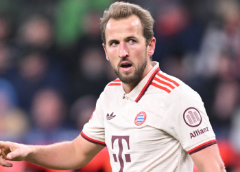 The place to observe Bayern Munich Vs. Celtic: UEFA Champions League Reside Stream On-line, TV, Prediction and odds