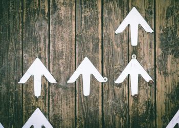 Document Breaking Variety of Meals Borne Sicknesses: Meals Poisoning On the Rise?