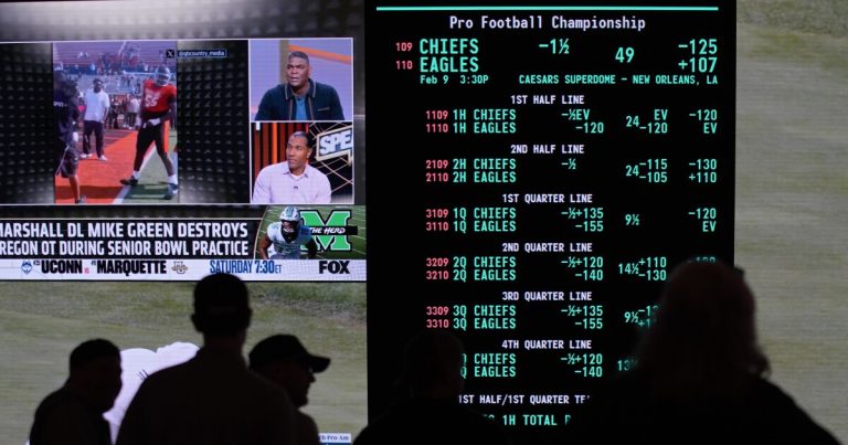Sports activities bets are again within the ring to the Hawaii Legislature