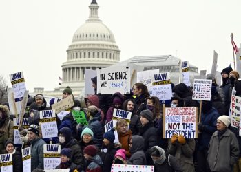 Decide extends momentary block to very large cuts in Nationwide Institutes of Well being analysis funding