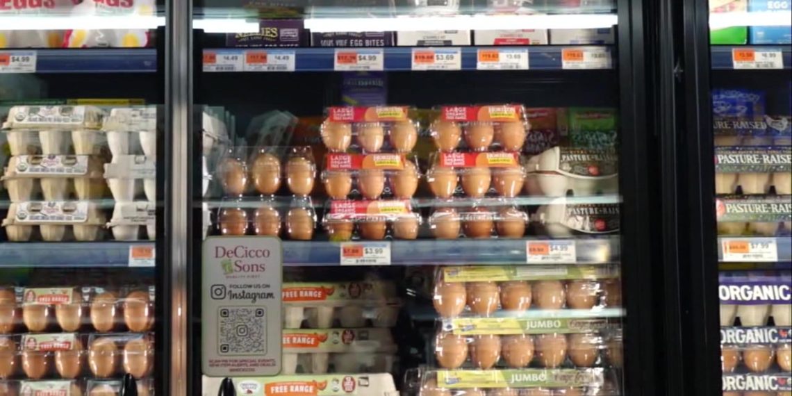 Meals costs anticipated to surge as specialists say ‘one thing’s received to vary’