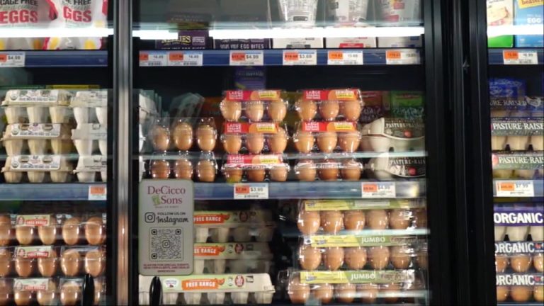 Meals costs anticipated to surge as specialists say ‘one thing’s received to vary’