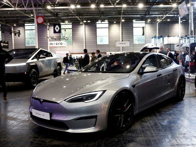 No one desires to use a Tesla in Europe and gross sales drop by 50 %