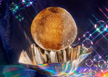 Wooj begins a month-to-month decline yr to double the gathering