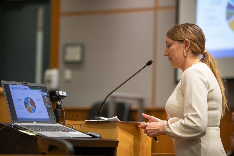 Whatcom County well being division head placed on go away